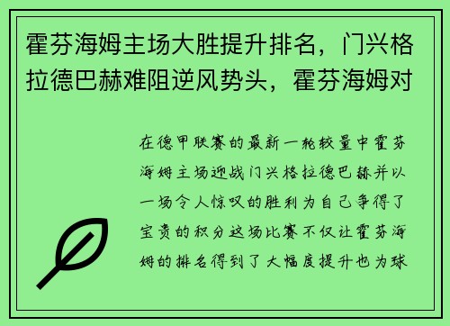 霍芬海姆主场大胜提升排名，门兴格拉德巴赫难阻逆风势头，霍芬海姆对